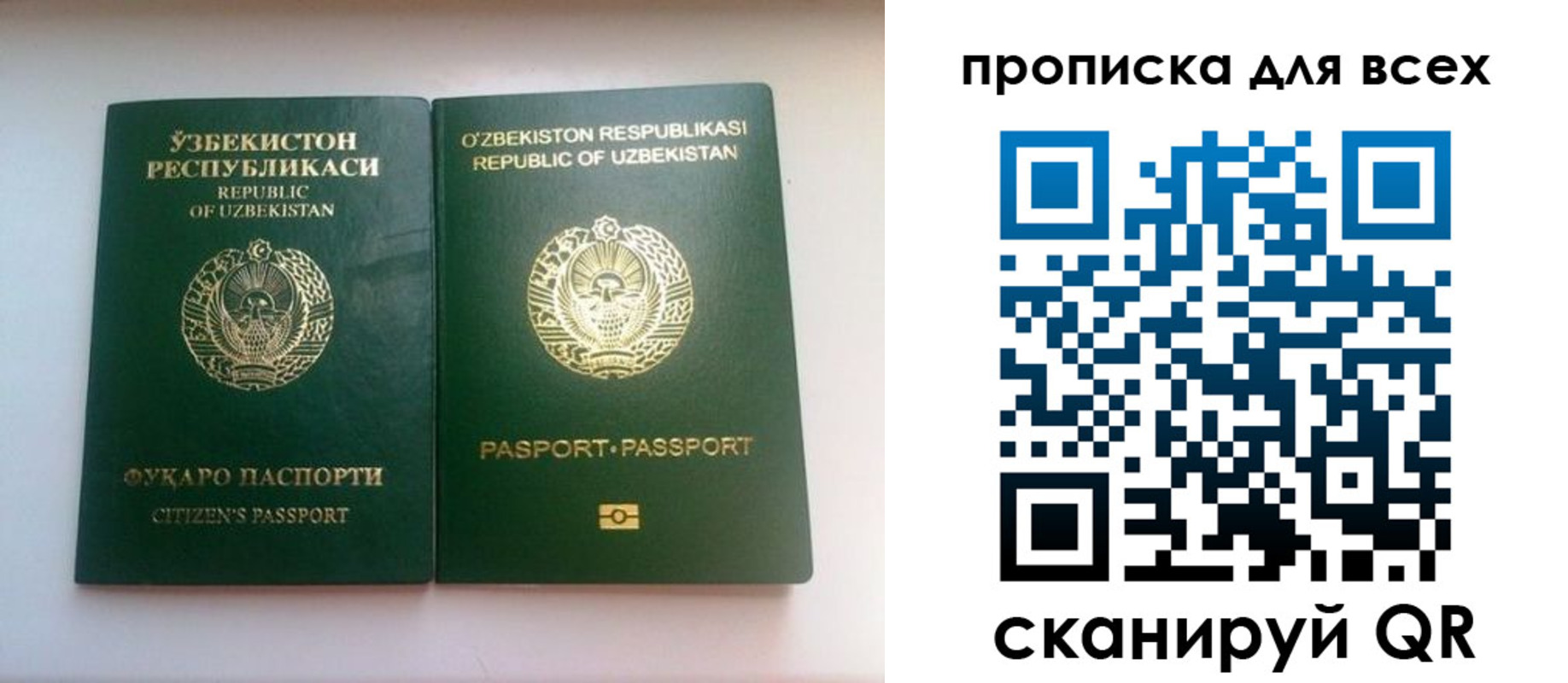 прописка для школы в Тюменской области